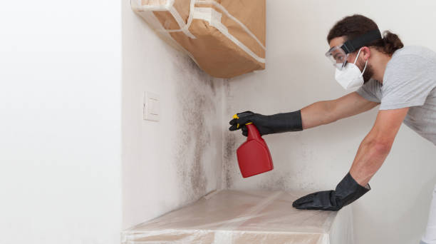Professional Mold Removal technician working in Venice, IL